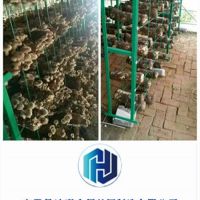 外行如何判斷食用菌網格架質量，三點建議拿走不謝