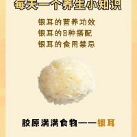 美食行天下 銀耳進萬家 雪菲寵耳銀耳 健康營養搭配