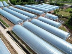 種植食用菌無大棚？這里有2.2萬平米現代化塑料大棚出租 ()