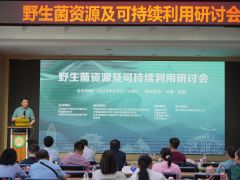 野生菌資源及可持續利用研討會
