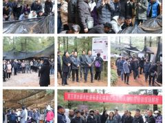 行業反響熱烈！第五期全國羊肚菌標準化規?；N植及風險防控培訓班在云南玉溪舉行
