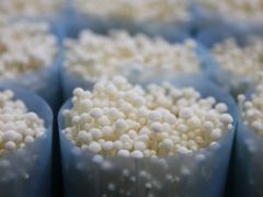 “數字金針菇”來了！海寧這里的農民，有望增收1500萬 ()