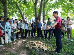 2024年首屆菌物科普與勞動教育發展大會 (30)