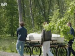 實現生命循環！全球首款“蘑菇做的棺材”在英使用