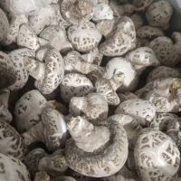 花菇干品自產自銷各種規格大量供應