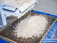 夏季健脾胃、除濕氣，茯苓藥膳用起來