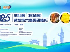 2025羊肚菌（珍稀菌