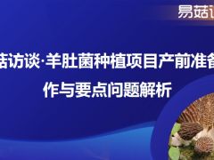 【活動通知】易菇訪談·羊肚菌種植項目產前準備工作與要點問題解析