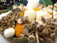 在云南當“野生菌獵人”是種什么體驗？