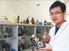馬銀鵬潛心科研深耕黑木耳產業