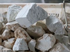 一場秋雨一場寒，您有一份雨后茯苓養生指南，請及時查收