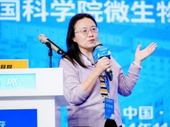 董彩虹:茯苓新菌株“WZ-1號”菌株上料快、結苓早、結苓率高、生長穩定強勢,產量高